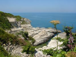 Mahkeme ve noter yeminli Almanca Tercman, İstanbul-Avcılar
